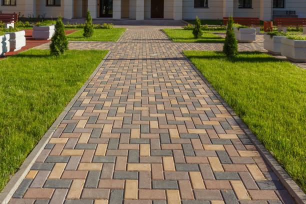 Professional Driveway Pavers in Dilley, TX